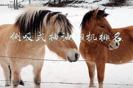 侧吸式抽油烟机排名
