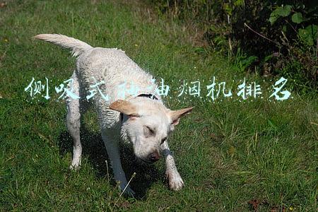侧吸式抽油烟机排名