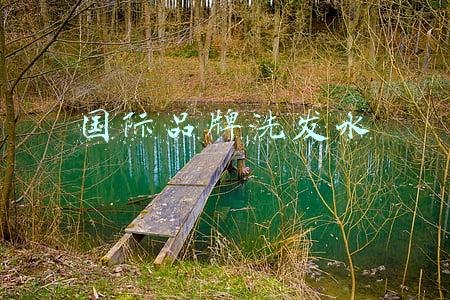 国际品牌洗发水