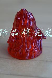 国际品牌洗发水