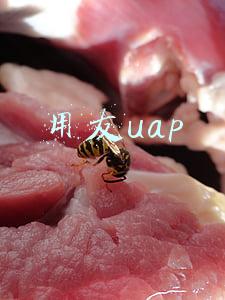 用友uap