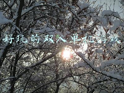 好玩的双人单机游戏在同一个电脑上(PC玩家电脑中必备的多人游戏，如今也都是热门大作)