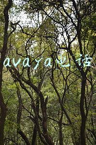 avaya电话使用说明(容联汇通拉上Avaya推出“小A云”，打起了云呼叫中心的主意)
