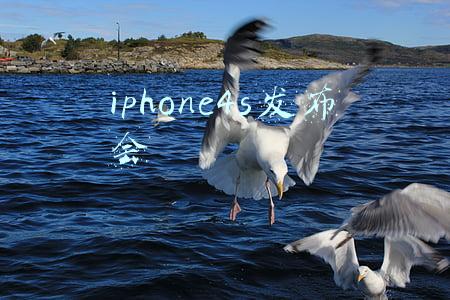 iphone4s发布会 乔布斯(乔布斯最后遗作iPhone4s，现在你们还觉得它好看吗？)