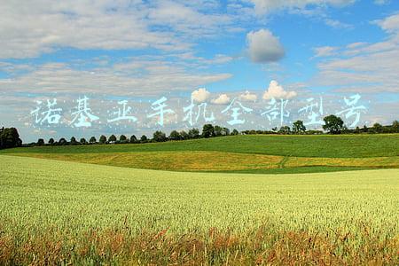 诺基亚智能手机型号大全(#回顾30款诺基亚手机#致青春)