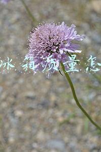 海尔冰箱质量怎么样视频(海尔冰箱怎么样？实际好用吗？笔者亲测：节能高效，大容量无异味)
