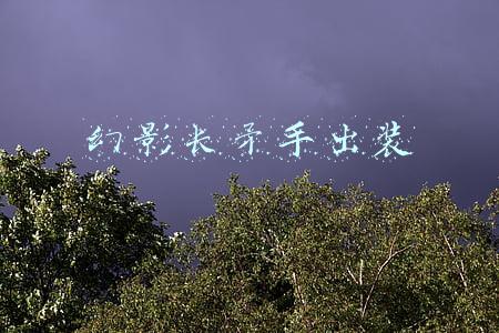 刀圈td幻影长矛手出装(SDN＆AA专访：国服天梯环境险恶 继续努力)