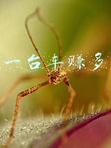 4s店一台车赚多少钱