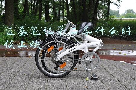 盗墓笔记第一季完了第二季是什么(最全15部盗墓笔记影视版观看顺序)