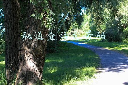 联通查话费号码