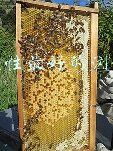 兼容性最好的浏览器app(360推出良心浏览器？纯净无捆绑)