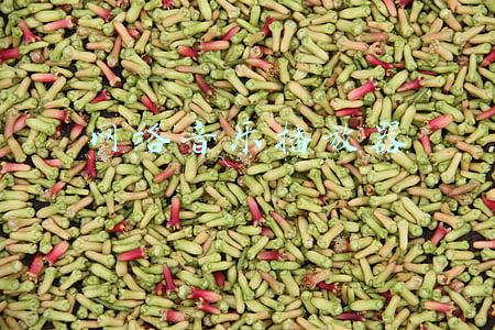 网络音乐播放器哪款好(QQ音乐和网易云的年度排行榜，把无数网友整懵了)