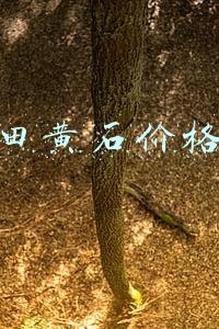 田黄石价格暴跌(田黄克价千元，寿山石市场惊起抄底风潮)