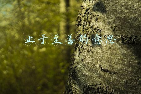 明明德 亲民 止于至善的意思(辨析｜为什么说朱熹关于“止于至善”的解释是一种误读)