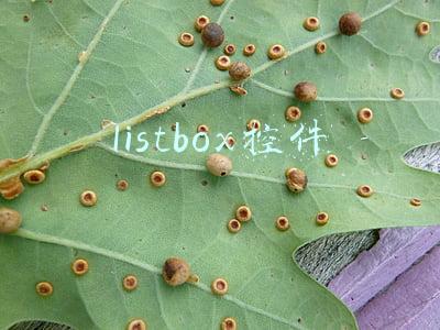 listbox控件
