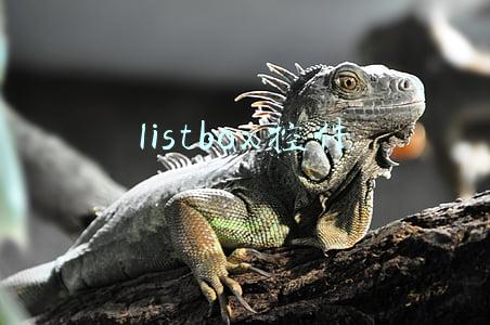 listbox控件名词解释(SQL查询Excel结果数据还可这样输出到窗体控件ListBox和ListView)