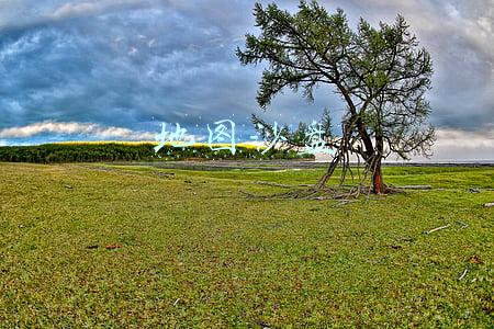 地图沙盘模型制作(给你的家乡做个三维地图模型，满满的成就感，快来学习下吧？)