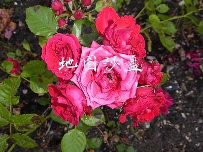 沙盘地图(地图解析长征：四渡赤水有多伟大？令敌人为我而动，我自跳出重围)