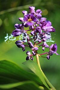 什么软件可以制作地图沙盘(深圳铂瑞特多媒体数字电子沙盘制作)