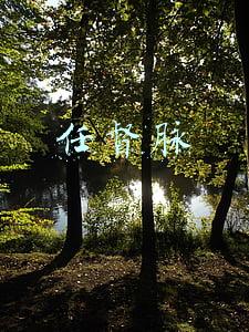 任督脉