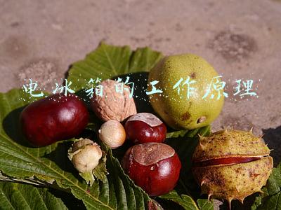 电冰箱的工作原理