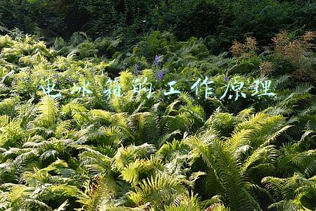 物理电冰箱的工作原理(他们用噪音造了台冰箱，用的是爆款动漫里的同款物理原理)