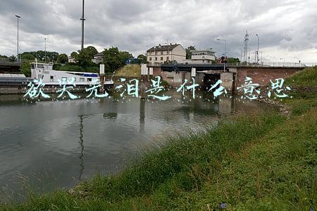 欲哭无泪是什么意思