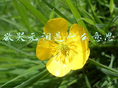 欲哭无泪(二次元欲哭无泪！B站预售手办商品不发货也不退定金)