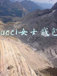 gucci女士钱包分哪几种特征描述(Gucci钱包真假辨认)