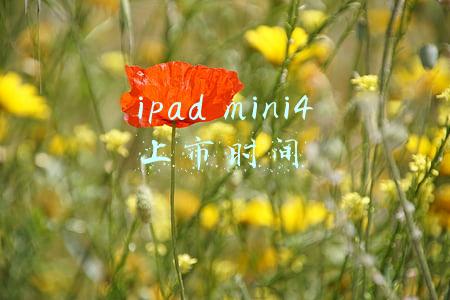 苹果ipad mini4上市时间(首次配备全面屏！曝iPad mini 6九月登场：HOME键被砍)