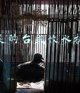 美的台式饮水机怎么使用(美的集团入主一年，万东医疗又有新动作)