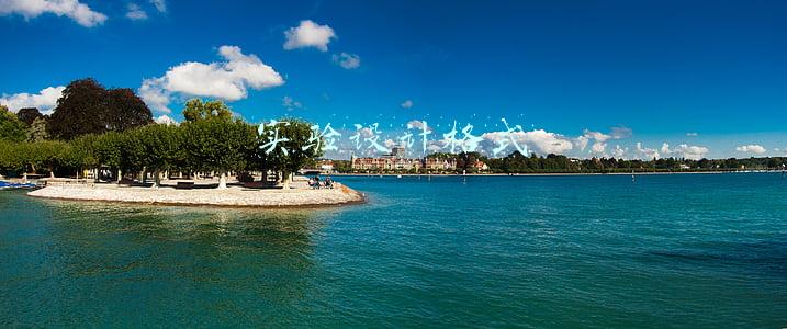 实验设计格式的优缺点(苛勒考点探秘)