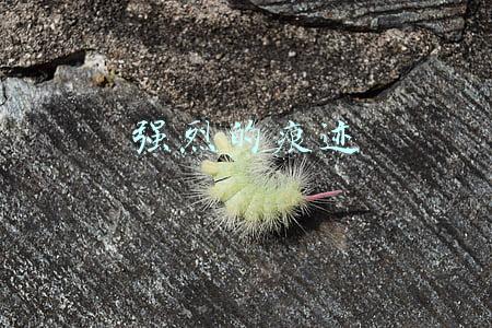 强烈的痕迹
