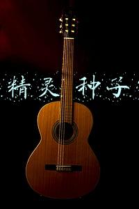 比特精灵 种子市场