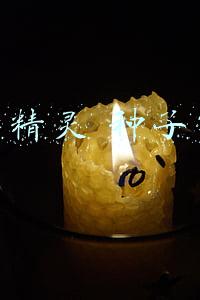 比特精灵 种子市场