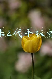 苹果2代平板电脑