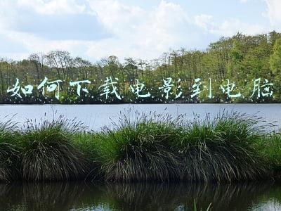 如何下载电影到电脑