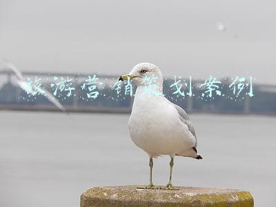 旅游产品营销策划方案(旅游景区营销战略管理(6-5)营销战略的实操指导)