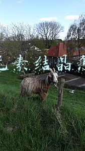 上级元素结晶怎么制作(DNF：奥兹玛图纸详解，失败越多越好，非酋1天也能毕业)