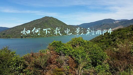 如何下载电影到mp4