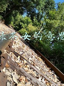 绿茶女的意思 视频(什么样的女生是绿茶婊或者托？朋友圈告诉你)