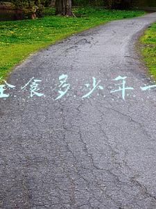 日全食多少年一次