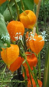 海尔冰箱质量如何