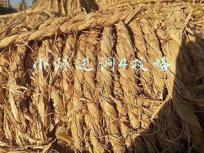 小球进洞1攻略(60岁刘德华私下打台球！袜子配拖鞋打扮时尚，右腿架球台上超认真)