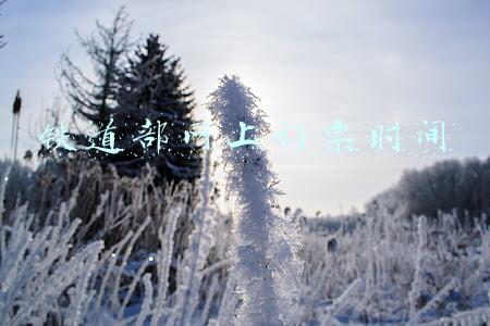 铁道部网上订票时间