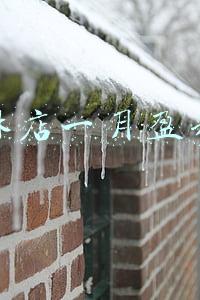 一个冰淇淋成本多少钱，一个冰淇淋的成本是多少钱