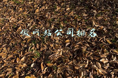 北京做网站的公司排行(燕软京创获评北京软件企业核心竞争力评价（成长型）企业)