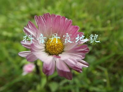 张掖丹霞地貌(日出、夜游、深度游，你不知道的甘肃张掖七彩丹霞，游玩攻略在此)