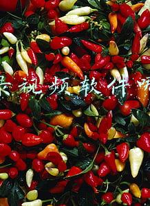 电脑录视频软件哪个好