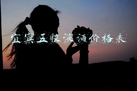 宜宾五粮液酒价格表
